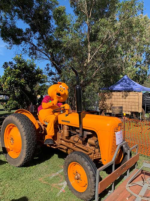 Bendigo Bank Piggy mascot riding a tractor