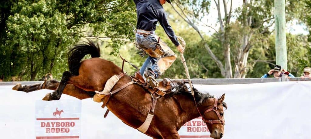 Man riding a bucking horse at Dayboro Rodeo